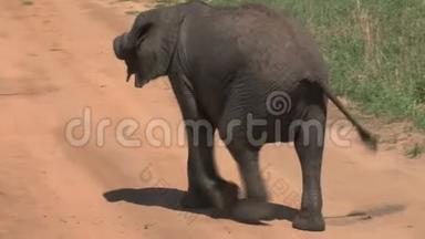 非洲小象小象在草原上漫步